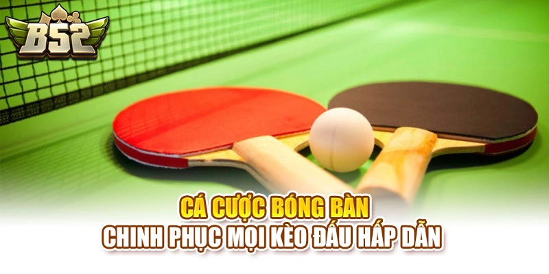 Cá Cược Bóng Bàn – Chinh Phục Mọi Kèo Đấu Hấp Dẫn