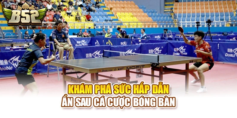 Khám phá sức hấp dẫn ẩn sau cá cược bóng bàn
